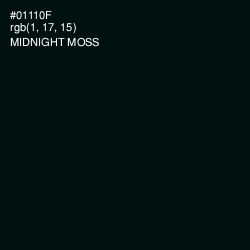 #01110F - Midnight Moss Color Image
